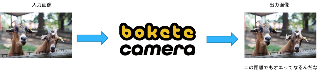 写真 「bokete camera」の一例