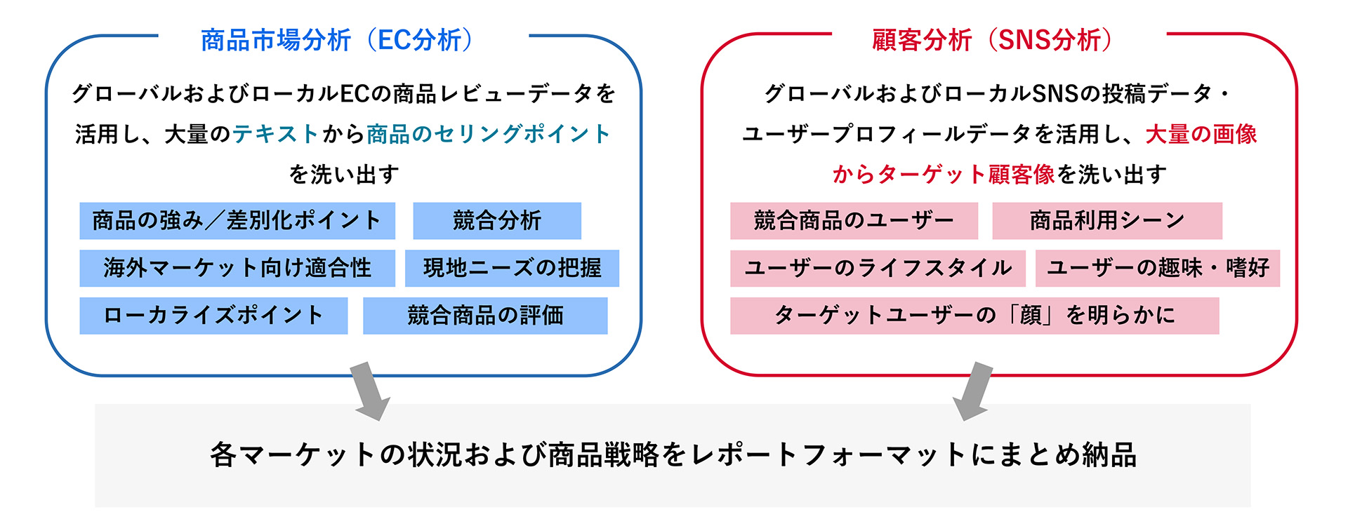 ECでの商品市場分析とSNSでの顧客分析の詳細を示した図。EC分析では、商品の強みや差別化ポイント、競合分析、ローカライズのポイントなど。SNS分析では、競合商品のユーザーや商品利用シーン、ユーザーのライフスタイルなどが当てはまる。